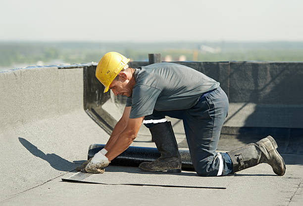 Best Insulation Maintenance and Repair in Horse Cave, KY
