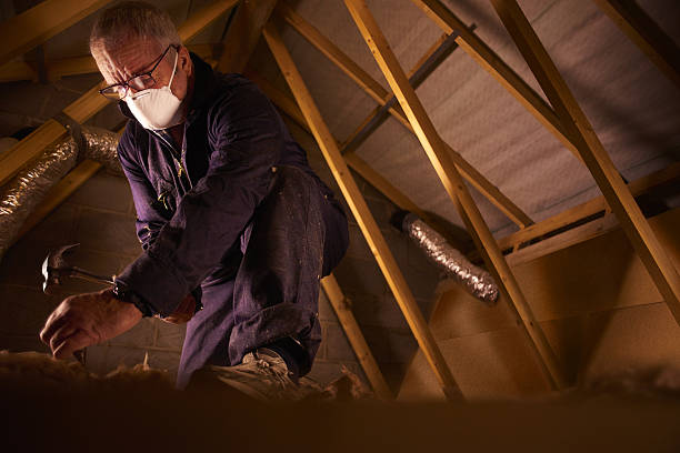 Best Insulation Materials and Products in Horse Cave, KY
